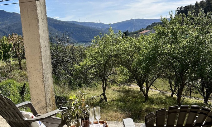 Lamego Casa | Casa Vicente