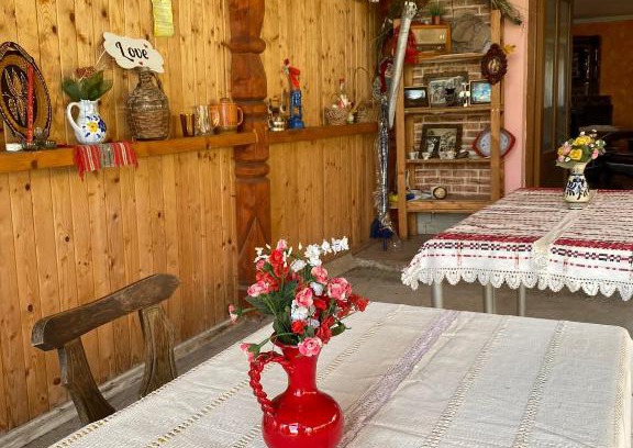 Beclean Casa | Casa Viki