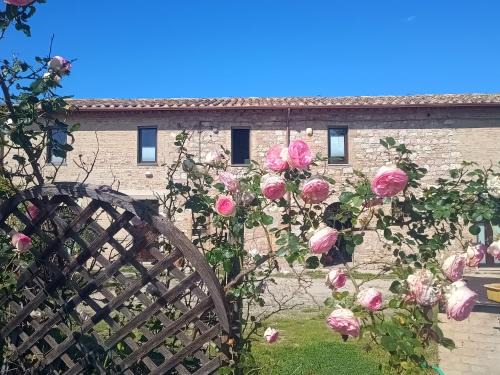 Casenuove Casa | Casale Il Cantico della Tenerezza