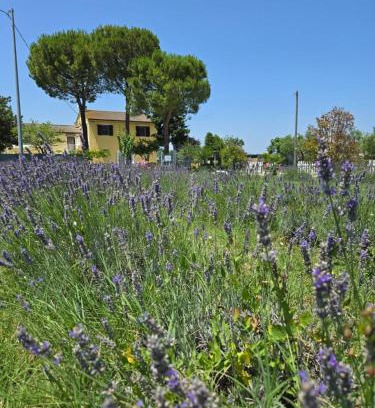 Castelfidardo Cama Y Desayuno | CaSAle