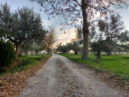 Re di Coppe Casa | Casale Re di Coppe