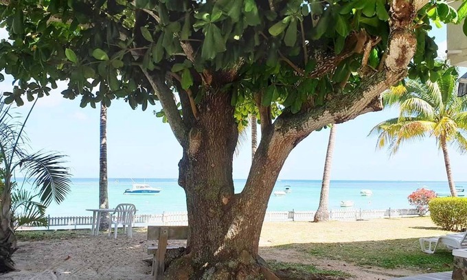 Pointe aux Canonniers Cabaña | CASANOU Property on the seafront - Flora.