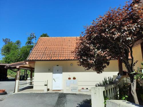 Ribeira de Pena Apartamento | Casas do Caminho Velho