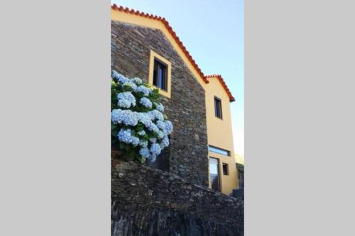 Benfeita Casa | Casinha de Xisto - Serra do Açor