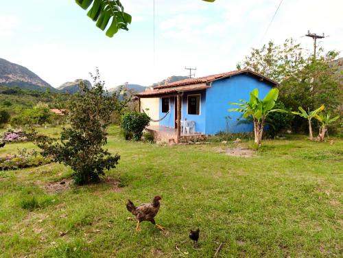 Ibicoara Casa | Casinhas estrela e sol