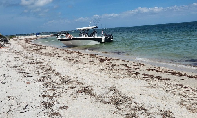 Burnt Store Apartamento | CASITA BELLA BEAUTIFUL COTTAGE IN WONDERFUL CAPE CORAL FL. COME ENJOY!
