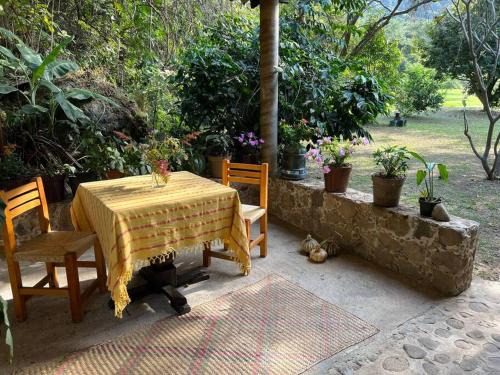 Amatlan Casa | Casita de las Hadas