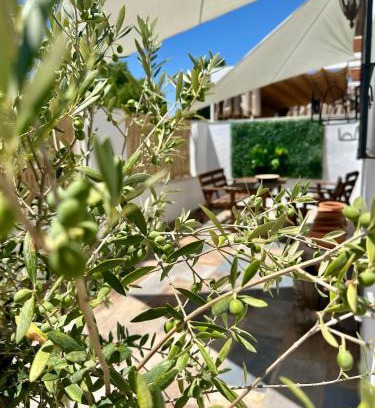 Aldea Quintana Casa | Casita del Olivo