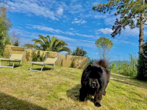 Montelaguardia Casa | Casolare del Maestrale - M&M Holiday House