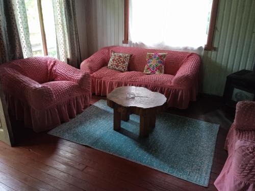 Pucon Casa | Casona suyai caburgua