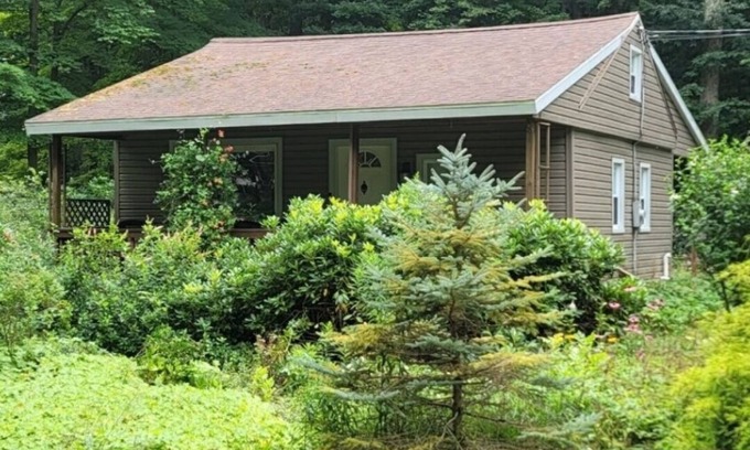 Lily Dale Cabaña | Cassadaga cottage in the woods