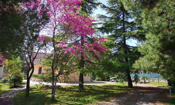 Andria Villa | Castel del Monte Villa de los membrillos