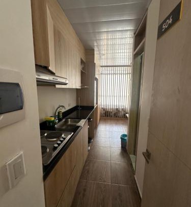 La Castellana Apartamento | Castellana 504