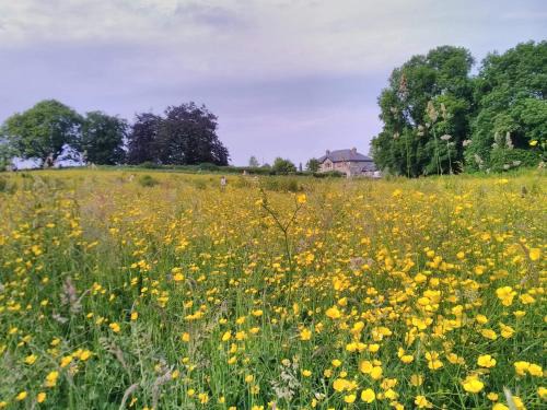 County Meath Casa | Castletownmoor Clinic & Permaculture Farm