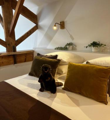 Aubagne Apartamento | Castor Coquin Aubagne Cassis Aix en Provence
