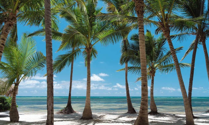Punta Cana Complejo | Catalonia Royal Bavaro - Adults Only