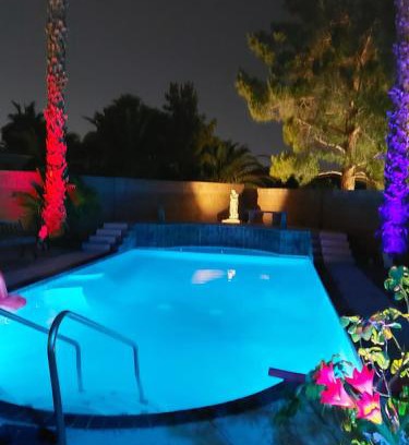 Paradise Casa | CATmosphere 2