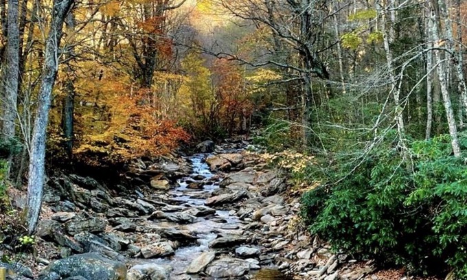 Cattail Creek Cabina | ⭐️Cattail Creek, Hiking, Fishing, Creeks,Fireplace, Mtns, Scenic Views, WiFi⭐️