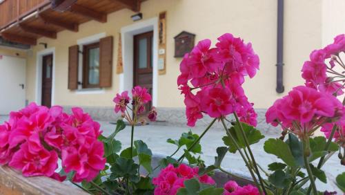 Mongnod Apartamento | CAV MES VALLEES Torgnon Vda