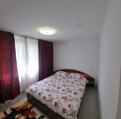 Cavnic Apartamento | Cavnic Residence 1