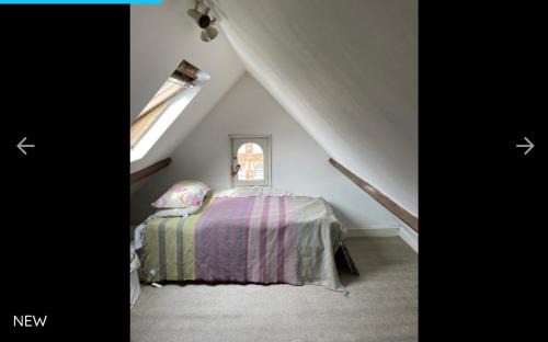 West Hampstead Casa | Cedar House