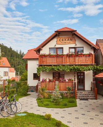 Gura Raului Casa | Cekan Family Guest House