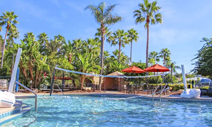 West Kissimmee Hotel | Celebration's Best-Kept Secret! Outdoor Pool, Full Kitchen, Free Shuttle!