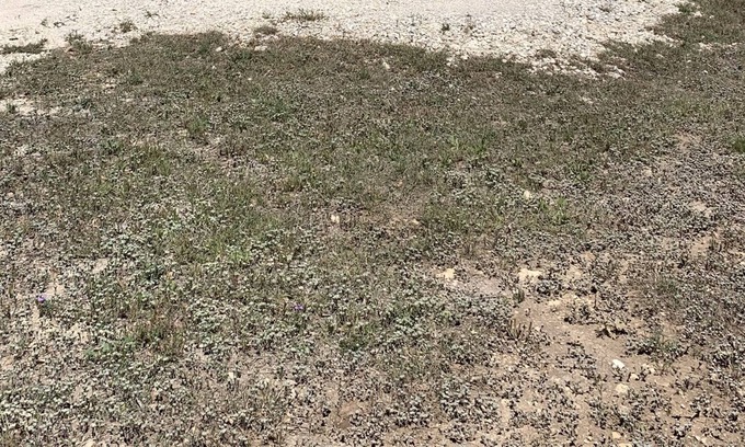 Center Point Cabina | Center Point, Kerrville, Bandera, Fredricksburg centrally located