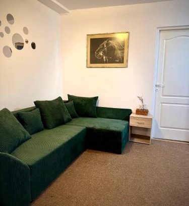 Tirgu Mures Apartamento | Central apartment for 7