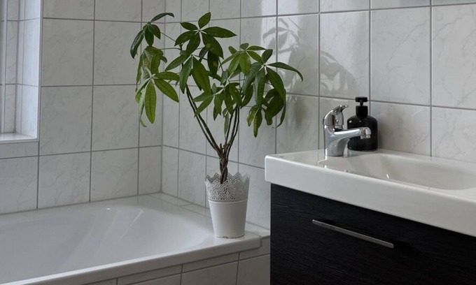 Magdeburg Apartamento | Central apartment in Magdeburg with Netflix and kitchen WE18