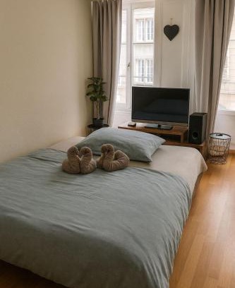 Fribourg Apartamento | Central & cosy next to cathedral