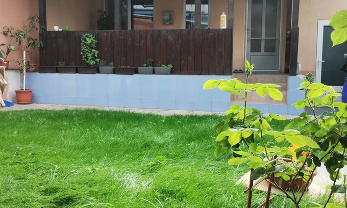 Tulcea Casa | Central house