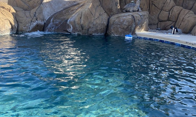 Lake Havasu City Casa | Central Lake Havasu home - pool and water slide!