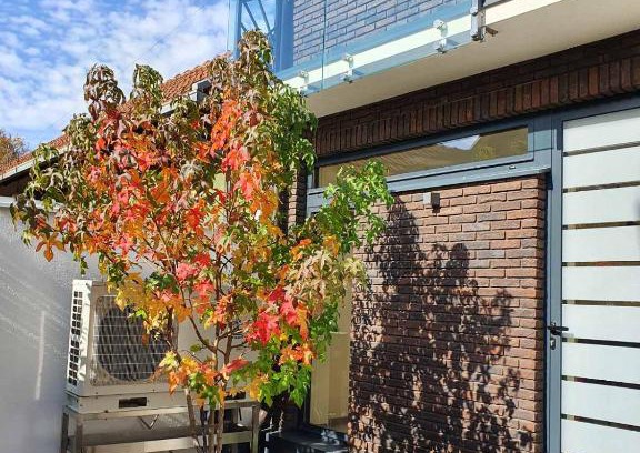Valjevo Apartamento | Central point Valjevo