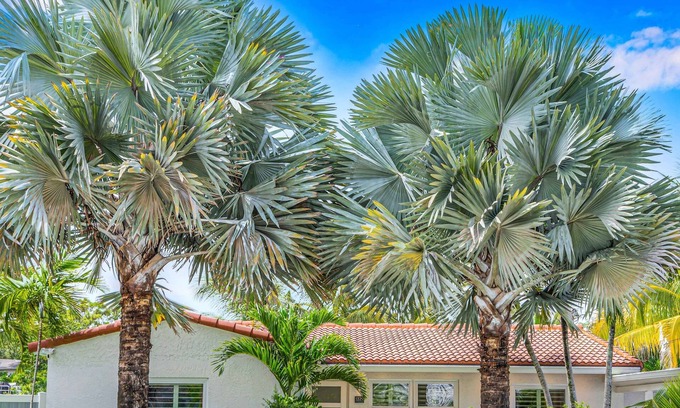 South New River Isles Casa | Centrally located | Heated Pool | Riverside View & Access | Citrus Key | H0MES