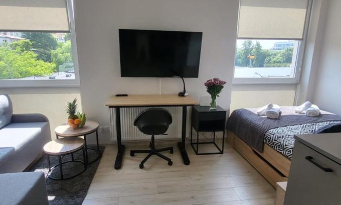 Srodmiescie Apartamento | Centrum Prusa STUDIO 210