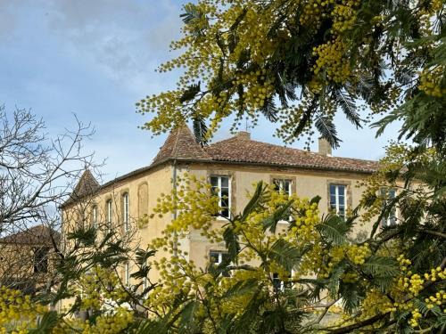Loubedat Cama Y Desayuno | Château de Mauhic - 15th century