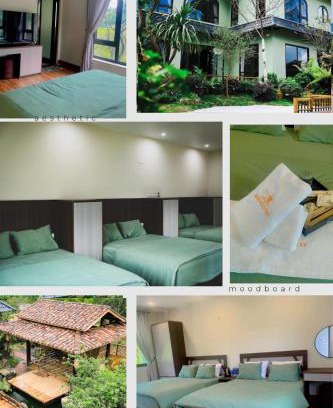 Moc Chau Cama Y Desayuno | Châu homestay - Mộc Châu , Sơn La