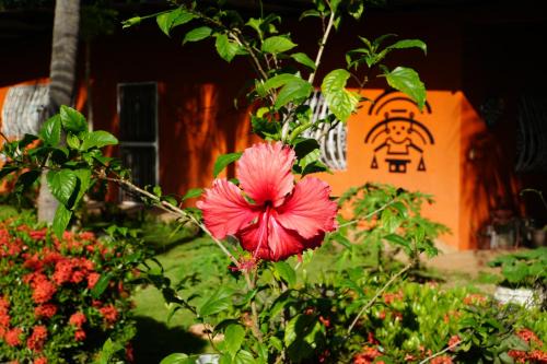 Managua Casa | Chakana Yoga Homestay