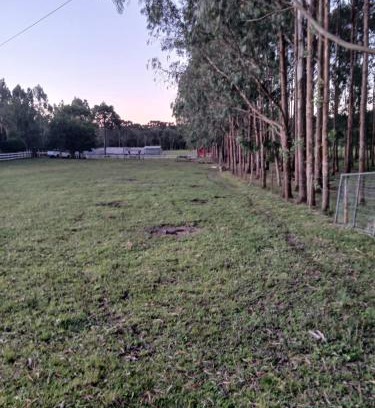 Correia Pinto Chalet De Esquí | Chalé copo de leite