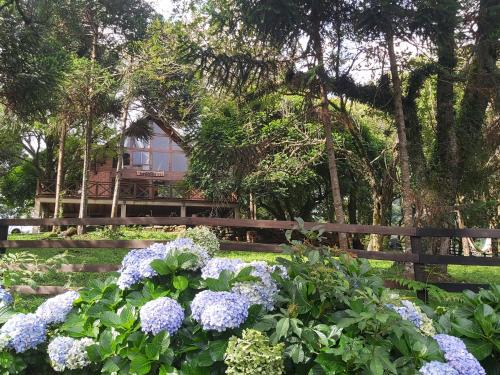 Sao Francisco de Paula Chalet De Esquí | Chalé Samambaia 27