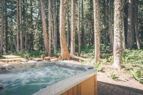 Government Camp Casa | Chalet am Berg - Meredith Lodging