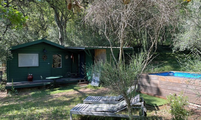 Bagnols-en-Foret Chalet De Esquí | Chalet Avec Piscine Privée AU Milieu DE LA Forêt