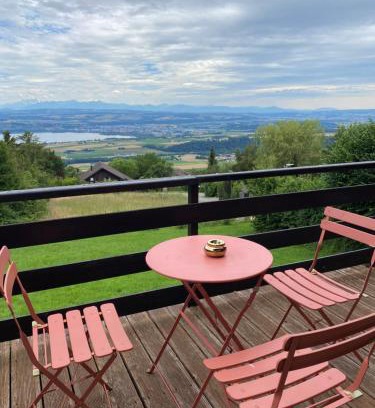 Tevenon Chalet De Esquí | Chalet avec vue panoramique alpes et lac