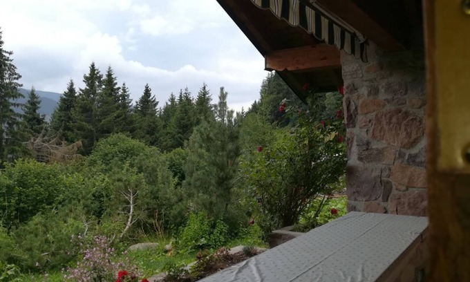 Prestine Cabina | Chalet | Chalet - Adamello Park, Limen BS
