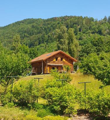 Saint-Maurice-sur-Moselle Chalet De Esquí | CHALET DES CHARBONNIERS AVEC ETANG - 5 chambres -