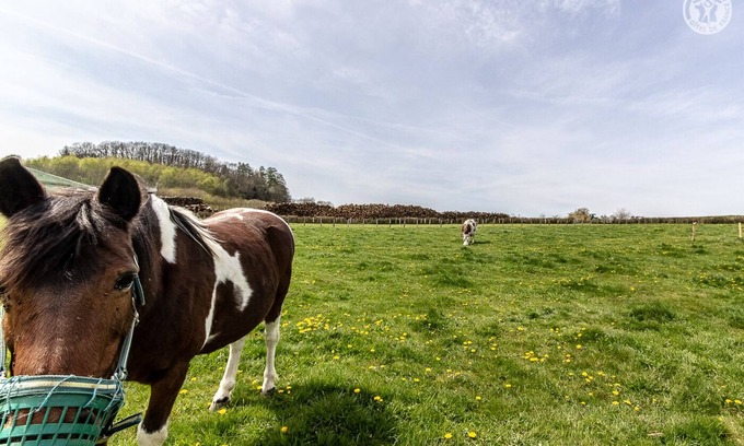 Cussy-en-Morvan Casa | Vrbo Property