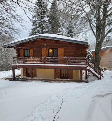 Montferrier Chalet De Esquí | Chalet de montagne familial