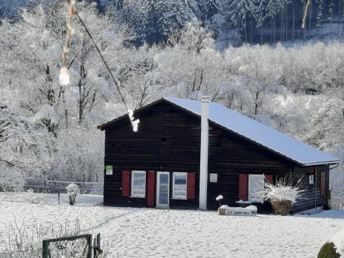 Ban-sur-Meurthe-Clefcy Casa | Chalet familial avec grand jardin et équipements pour enfants, à 500m du centre de Ban-sur-Meurthe - FR-1-589-33