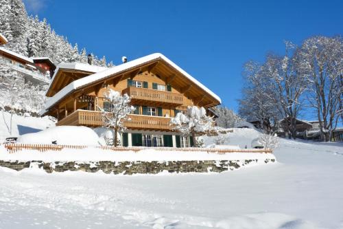 Adelboden Apartamento | Chalet Gsür